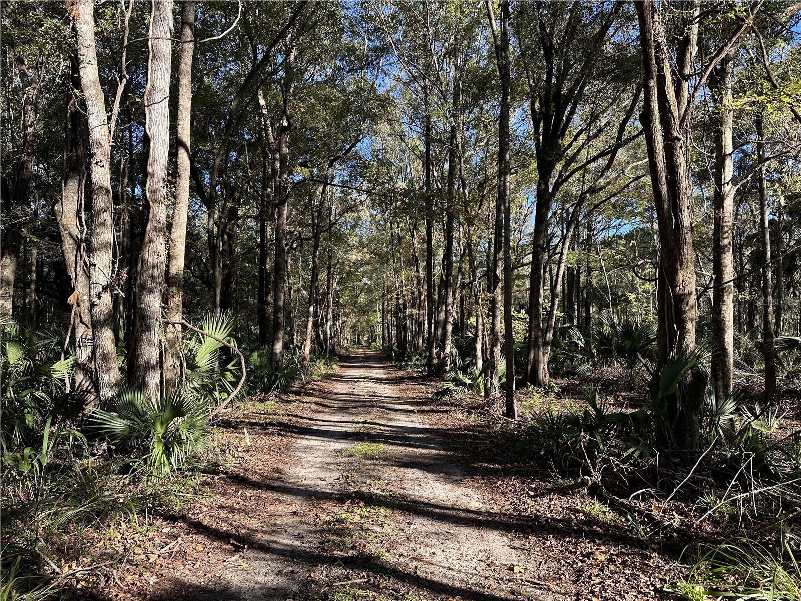 485ac NW 193RD ST, REDDICK, FL, 32686