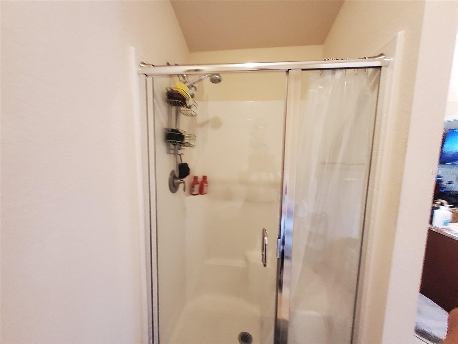 1313 LEGATTO LOOP, DUNDEE, FL, 33838