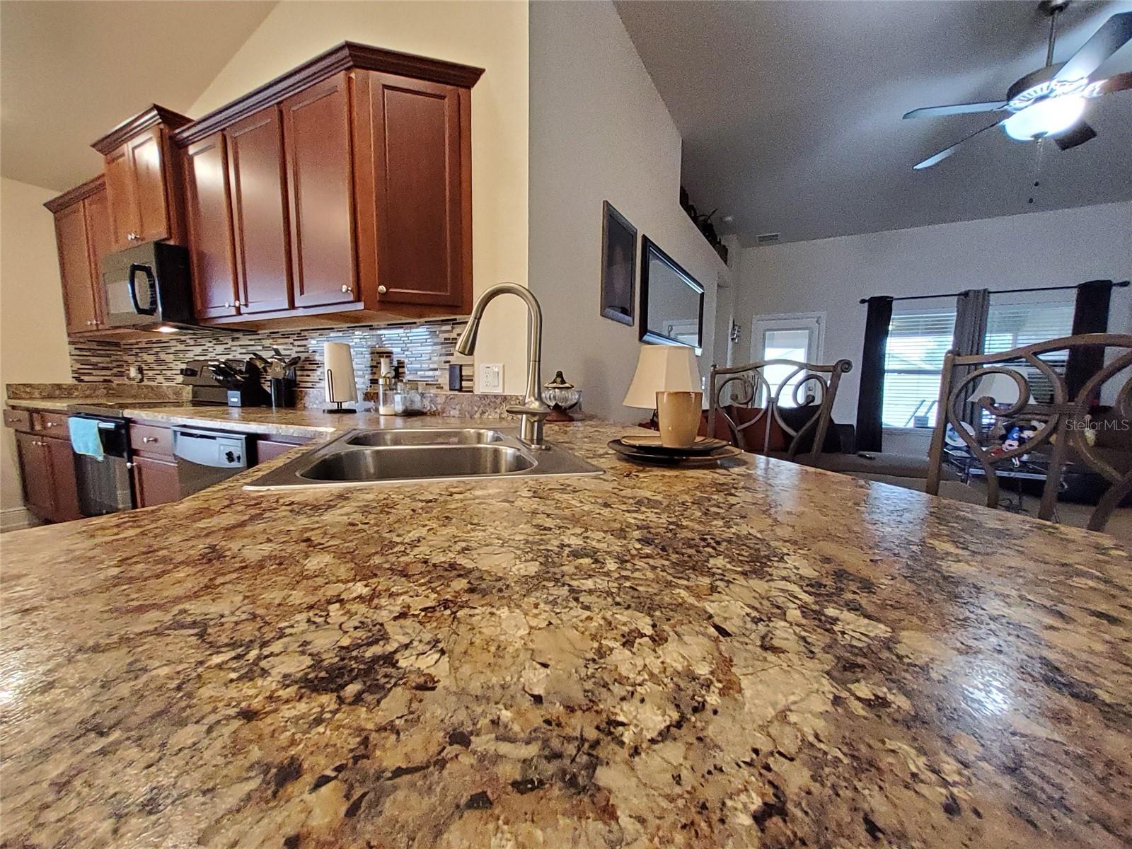 1313 LEGATTO LOOP, DUNDEE, FL, 33838