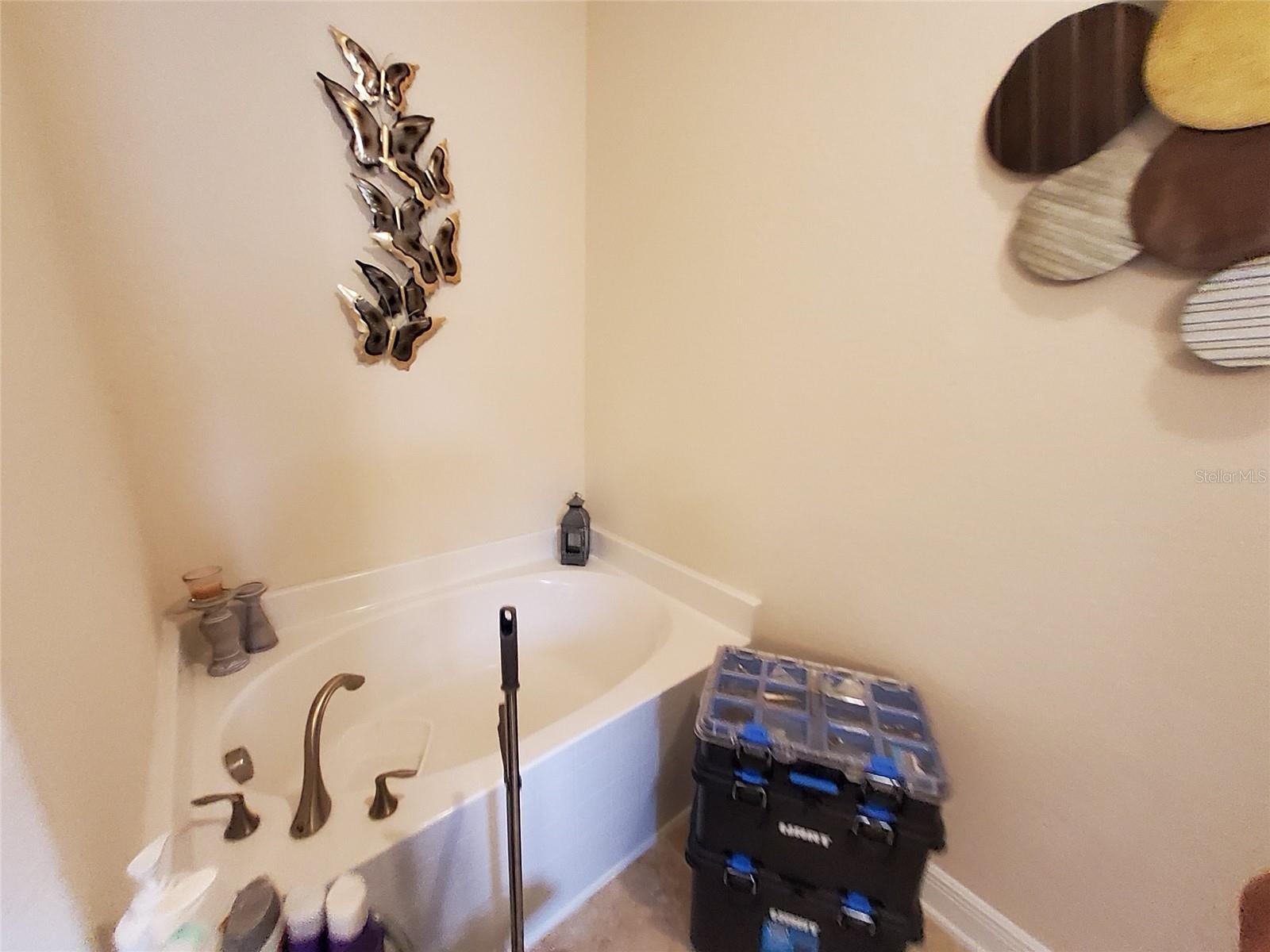 1313 LEGATTO LOOP, DUNDEE, FL, 33838