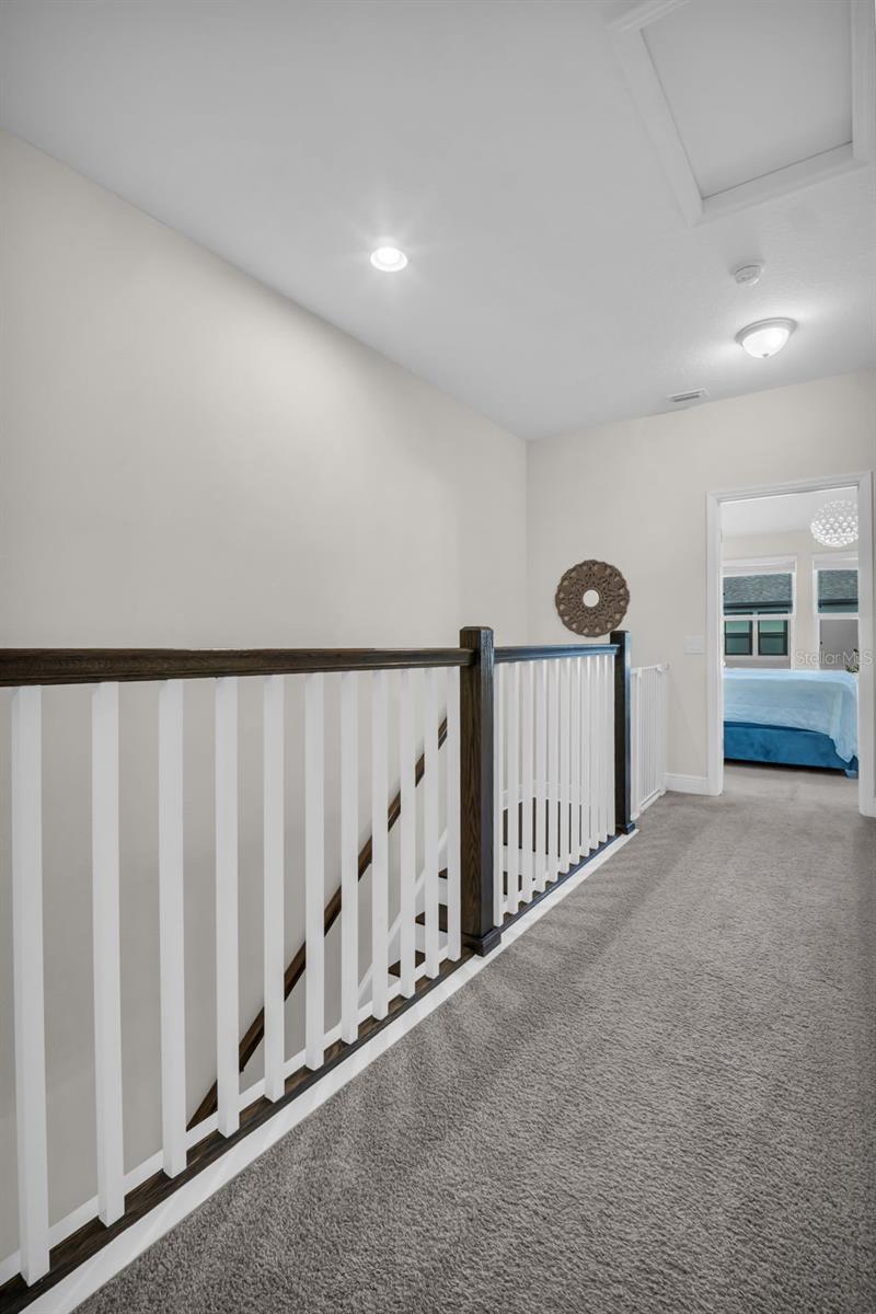 1920 MILKWEED TRCE, LUTZ, FL, 33558