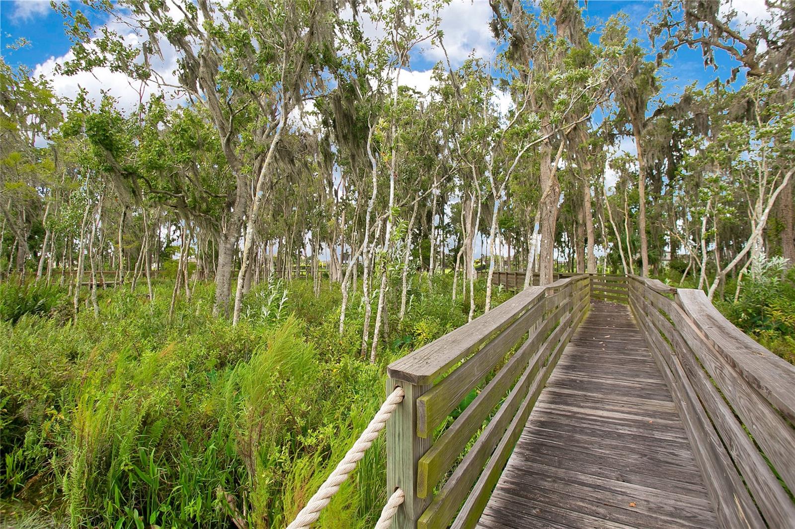 17597 SAILFIN DR, ORLANDO, FL, 32820