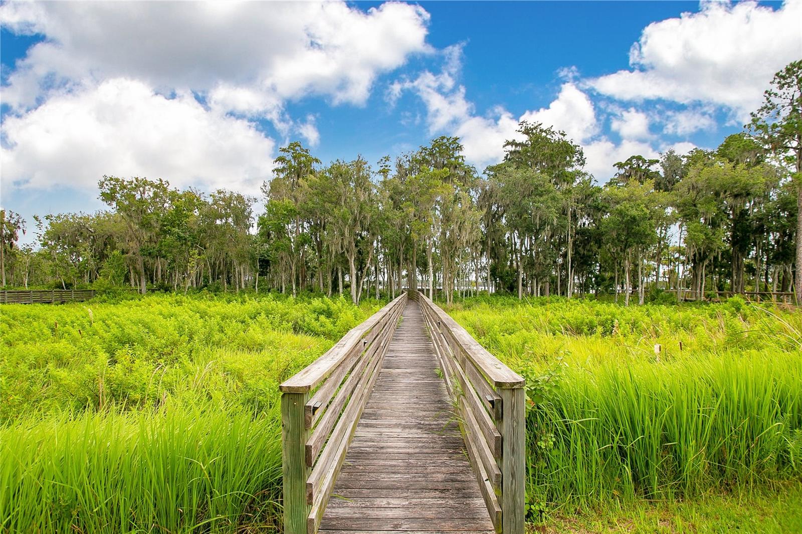 17597 SAILFIN DR, ORLANDO, FL, 32820