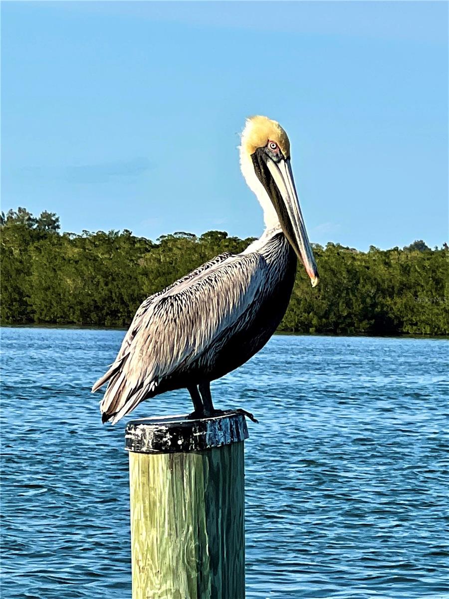 8152 LITTLE GASPARILLA IS, PLACIDA, FL, 33946