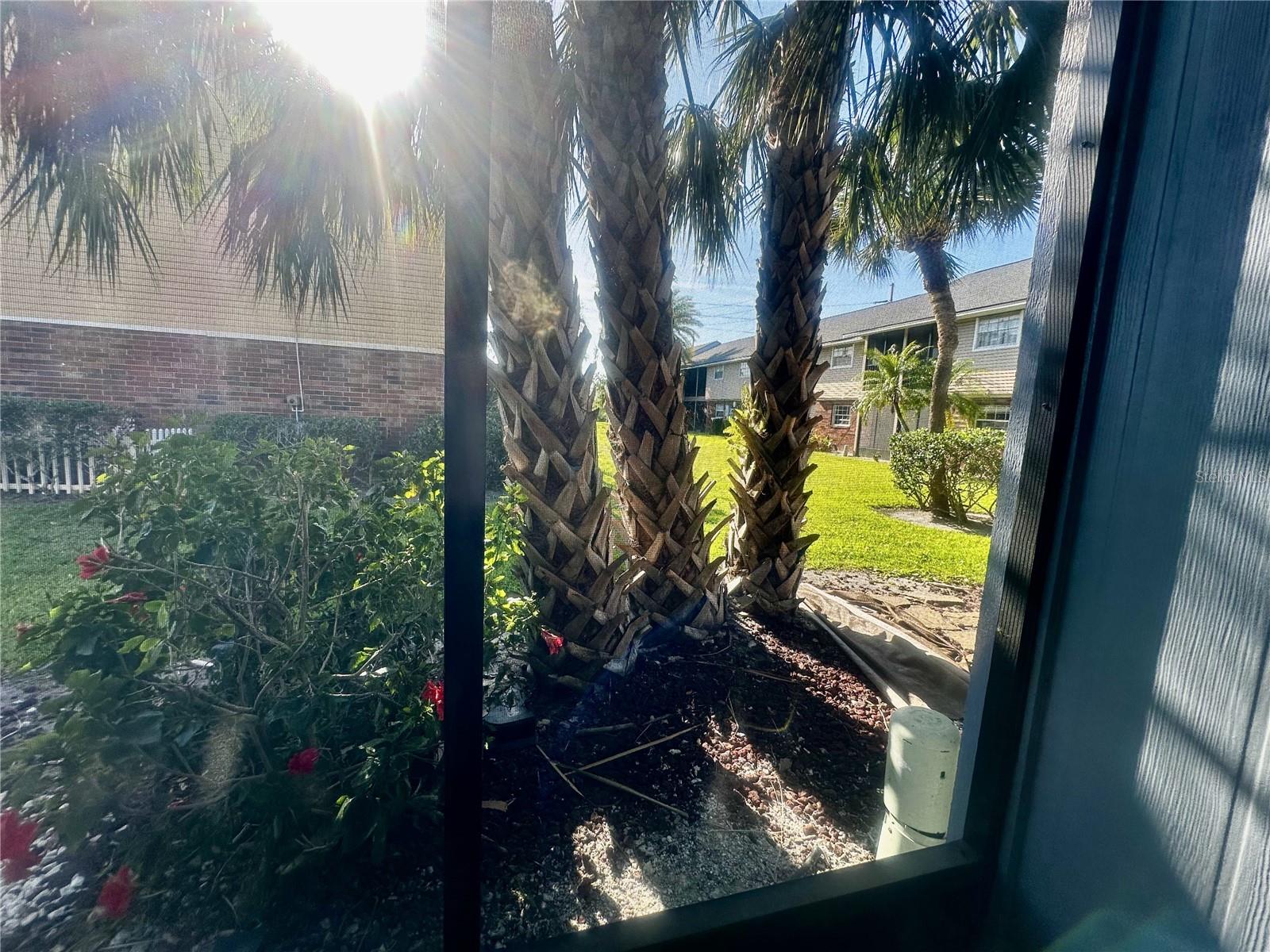 200 COUNTRY CLUB DR #1101, LARGO, FL, 33771