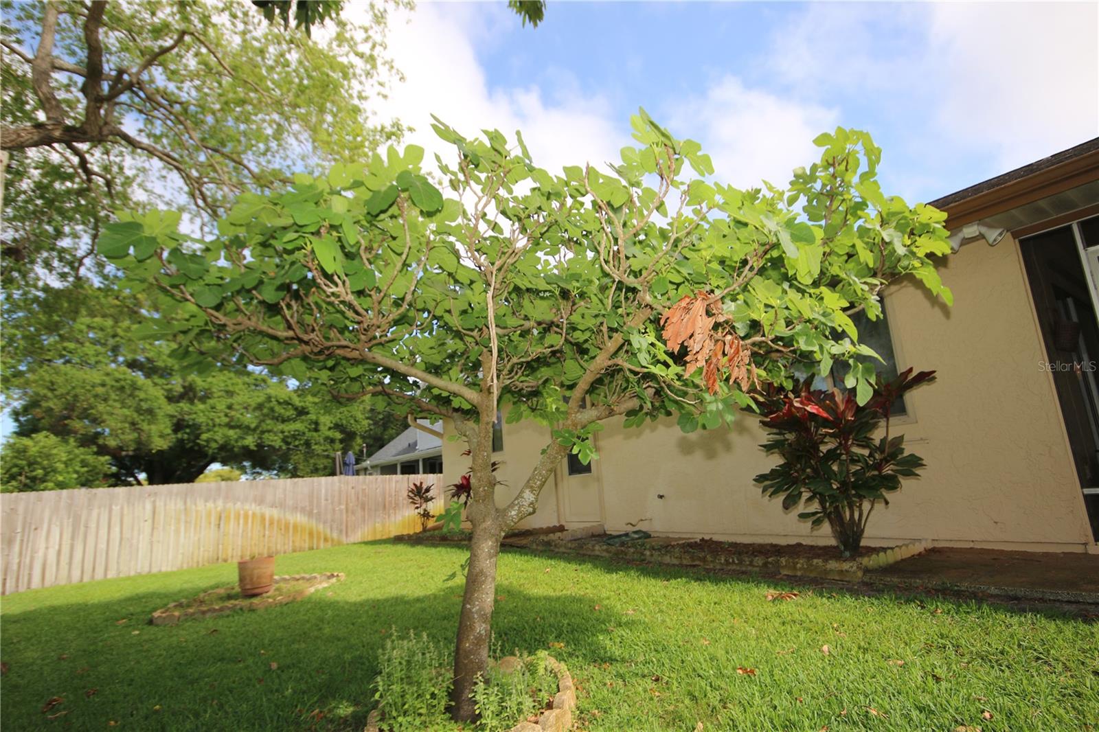 1670 PALMWOOD DR, CLEARWATER, FL, 33756