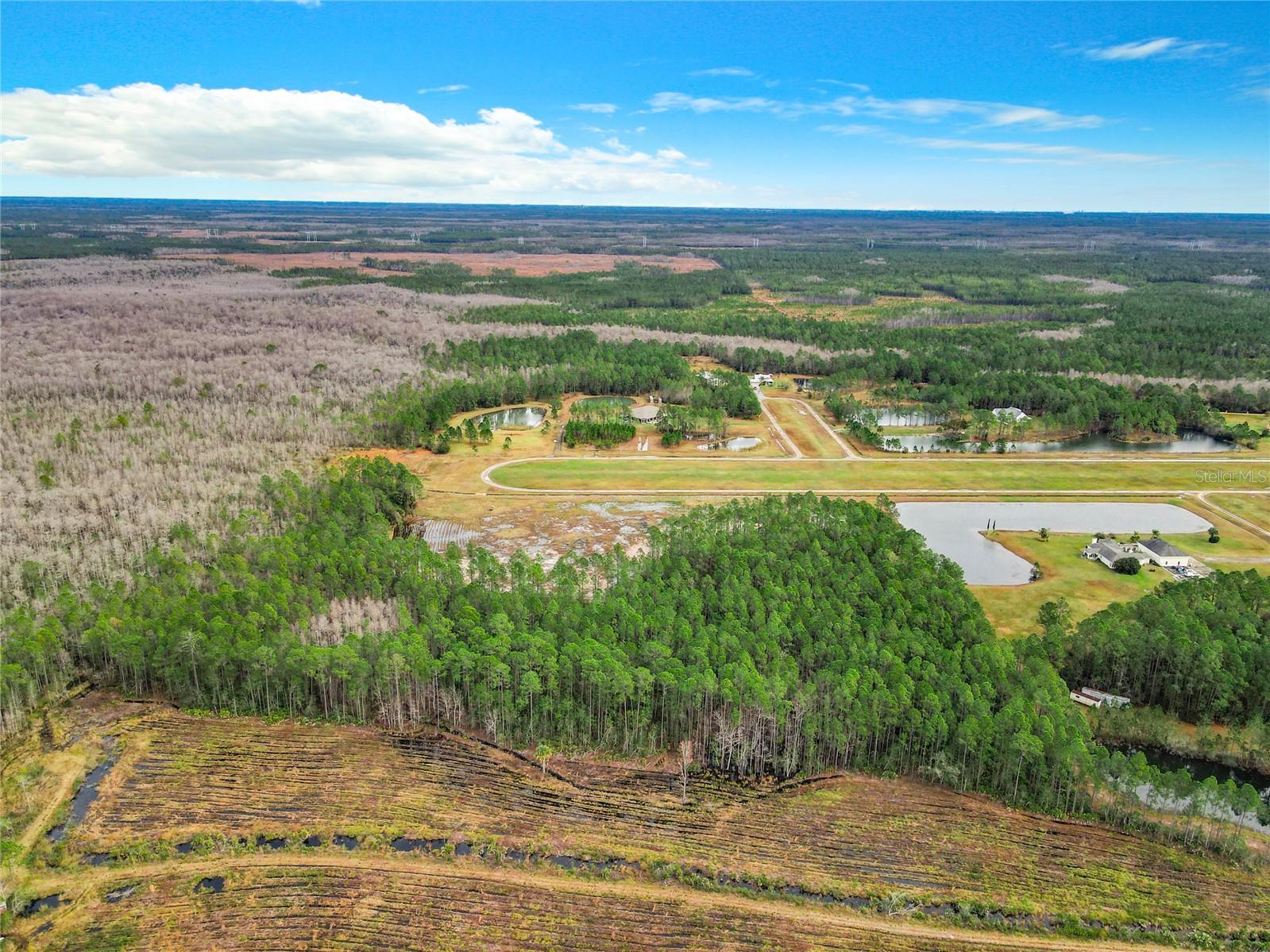 3131 LAFAYETTE LANDING DR, DE LEON SPRINGS, FL, 32130