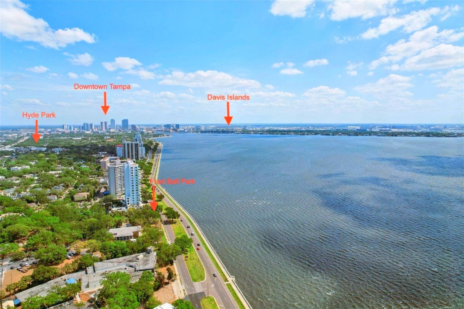 2807 BAYSHORE BLVD, TAMPA, FL, 33629