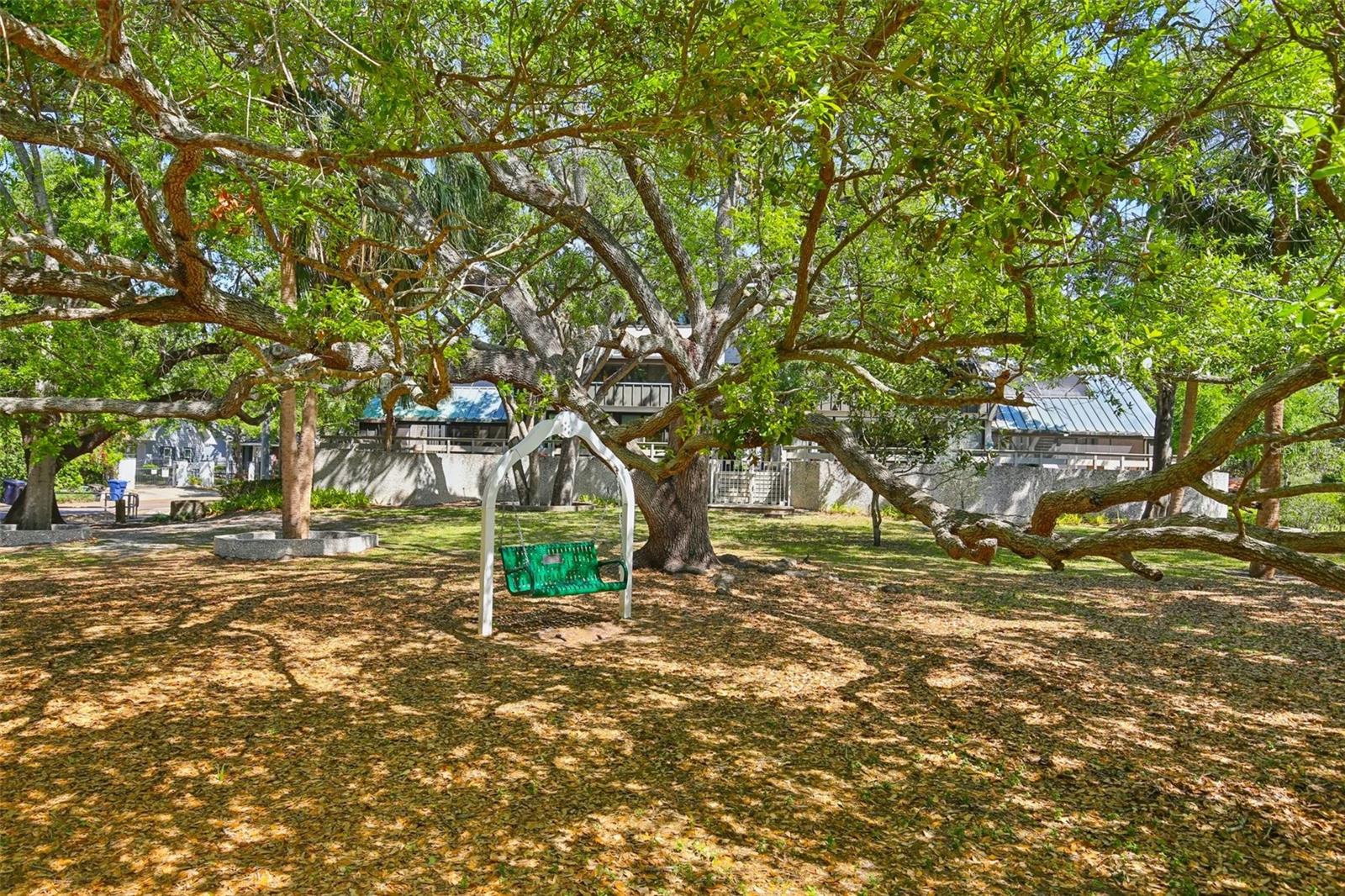 2807 BAYSHORE BLVD, TAMPA, FL, 33629