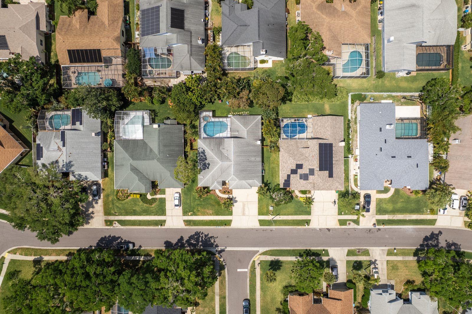 1793 PIPERS MEADOW DR, PALM HARBOR, FL, 34683
