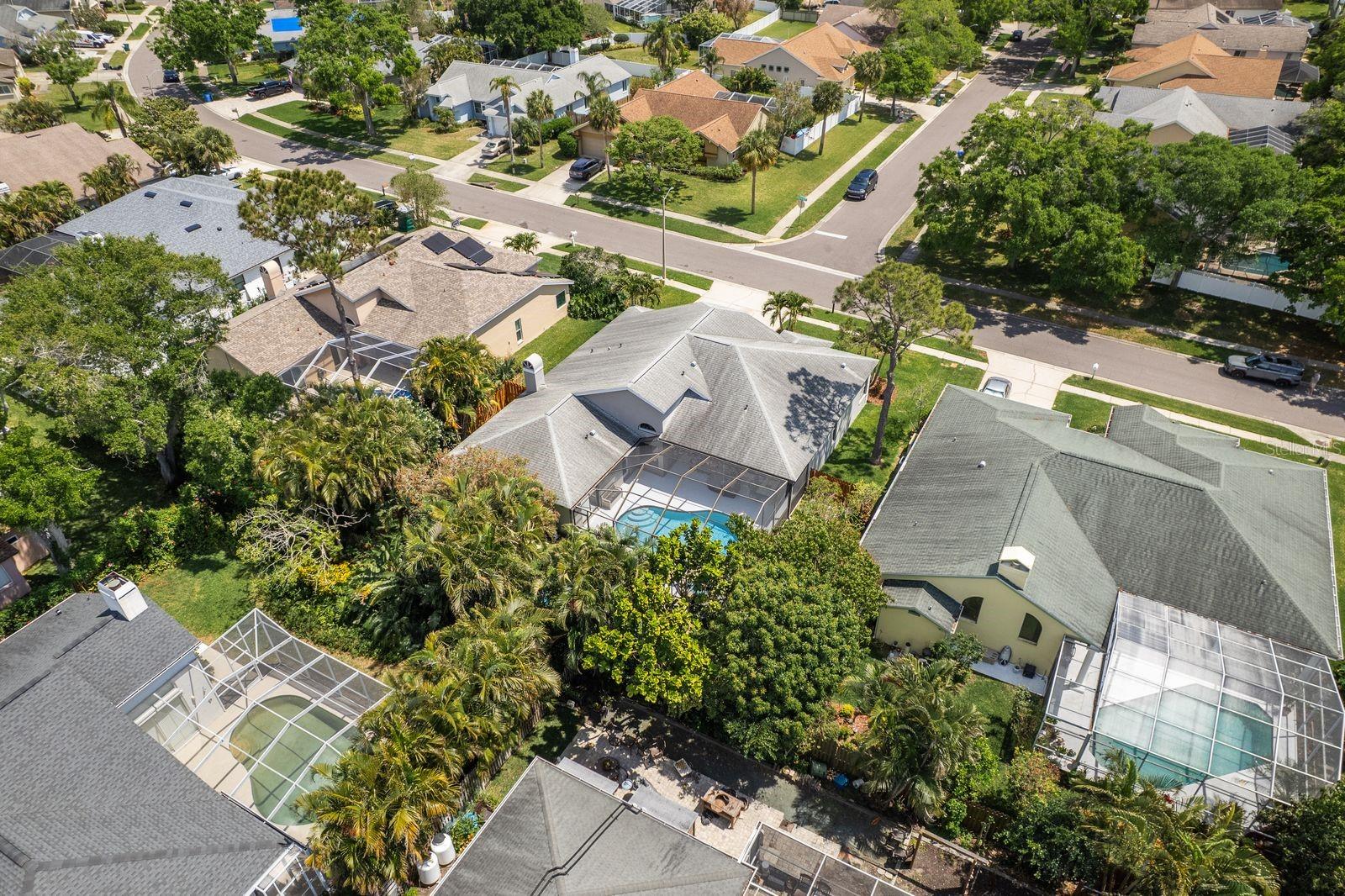 1793 PIPERS MEADOW DR, PALM HARBOR, FL, 34683