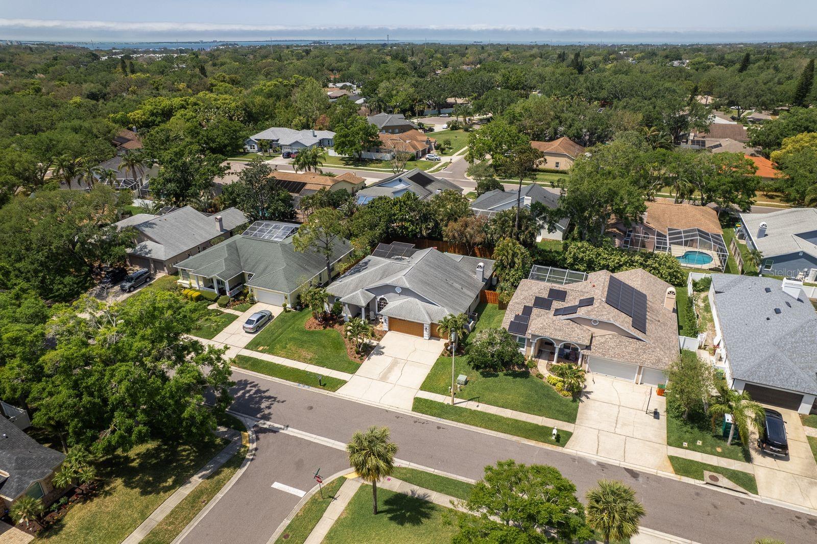 1793 PIPERS MEADOW DR, PALM HARBOR, FL, 34683