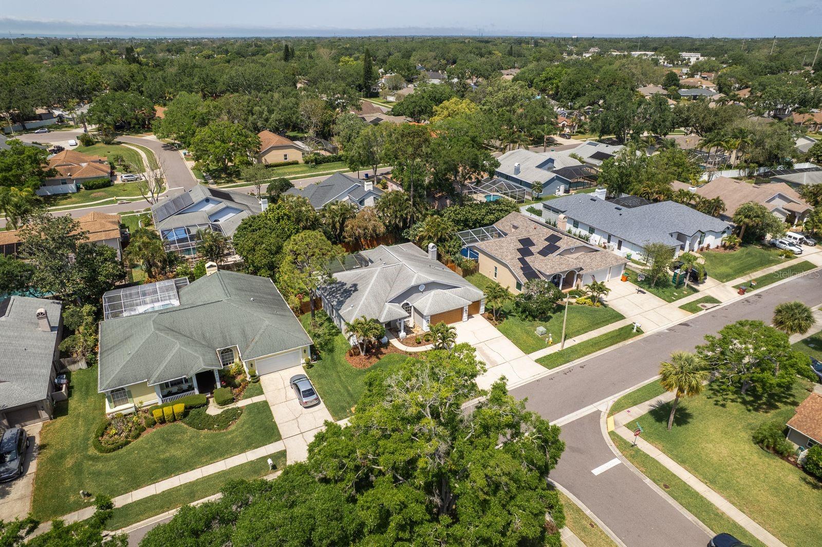 1793 PIPERS MEADOW DR, PALM HARBOR, FL, 34683