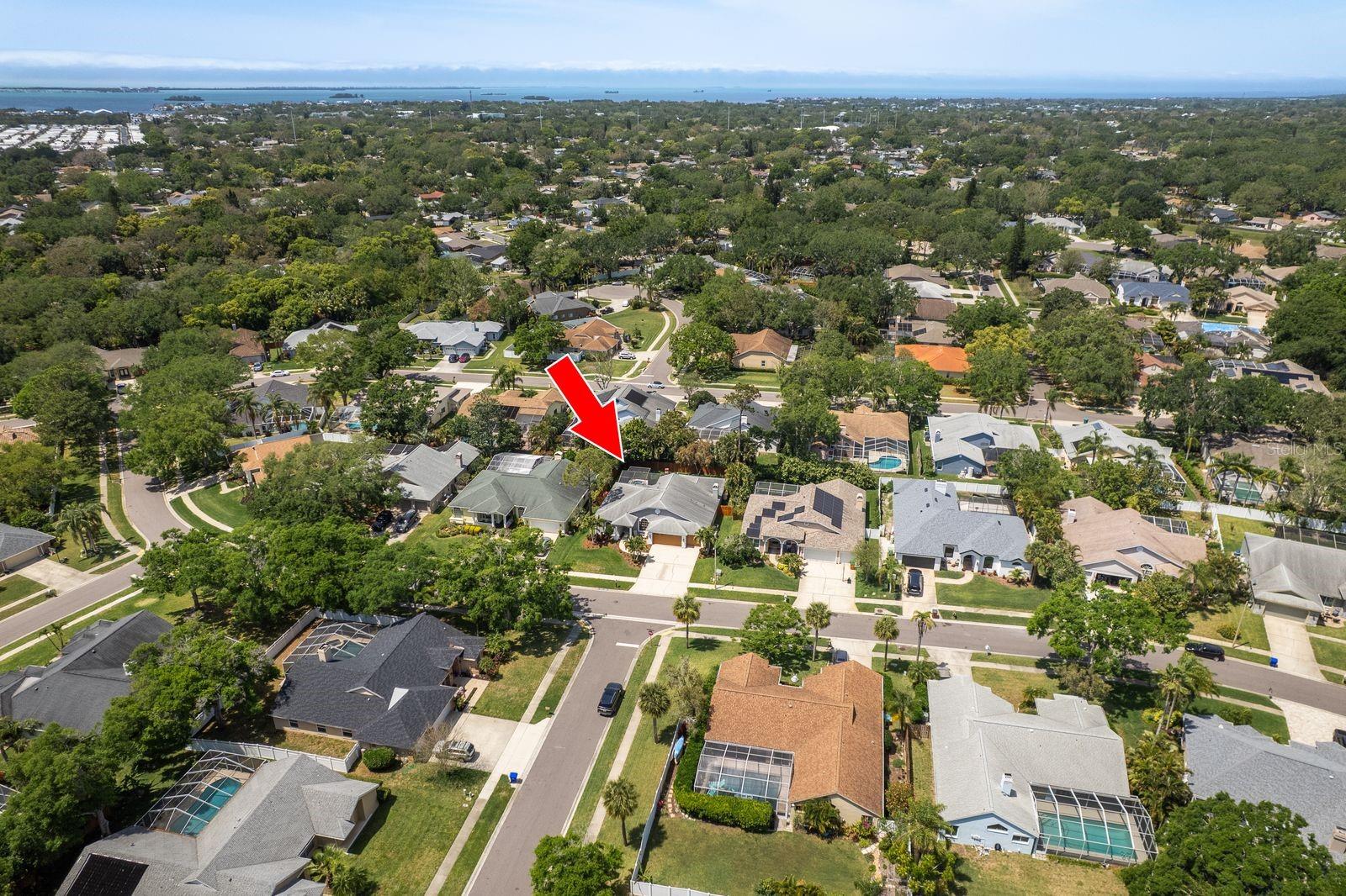 1793 PIPERS MEADOW DR, PALM HARBOR, FL, 34683