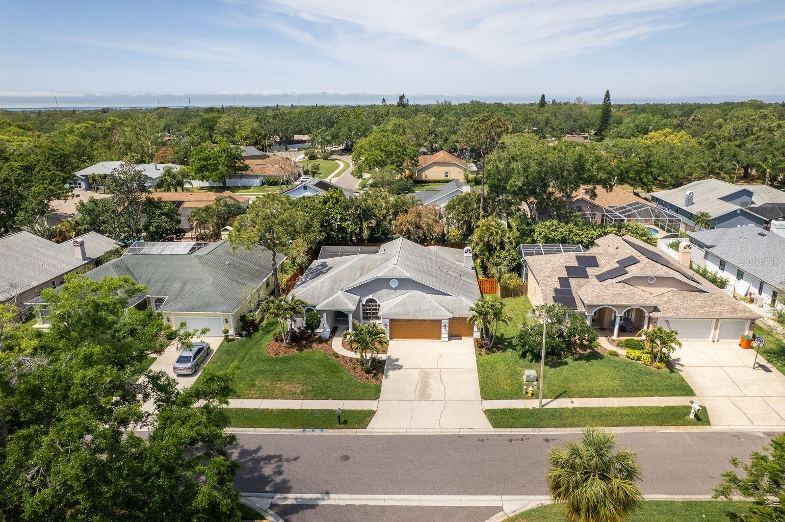 1793 PIPERS MEADOW DR, PALM HARBOR, FL, 34683