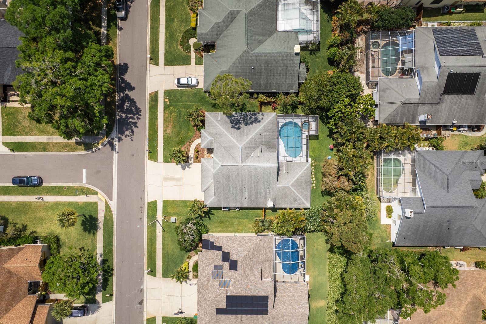 1793 PIPERS MEADOW DR, PALM HARBOR, FL, 34683