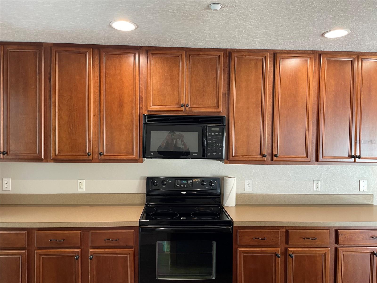 387 WINTER NELLIS CIR, WINTER GARDEN, FL, 34787