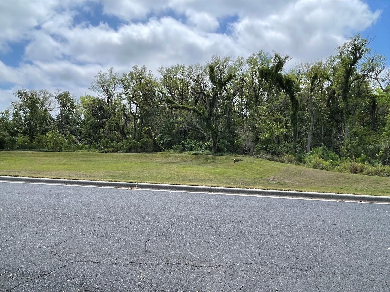 387 WINTER NELLIS CIR, WINTER GARDEN, FL, 34787