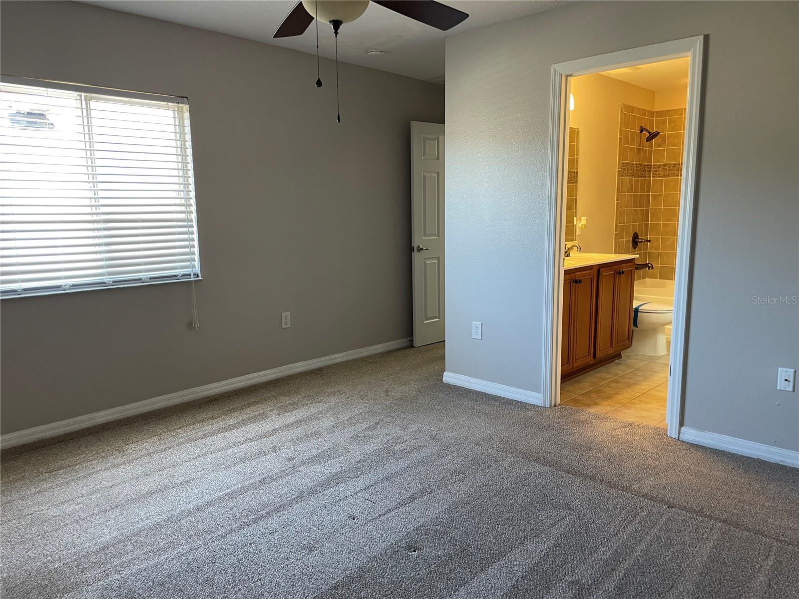 387 WINTER NELLIS CIR, WINTER GARDEN, FL, 34787