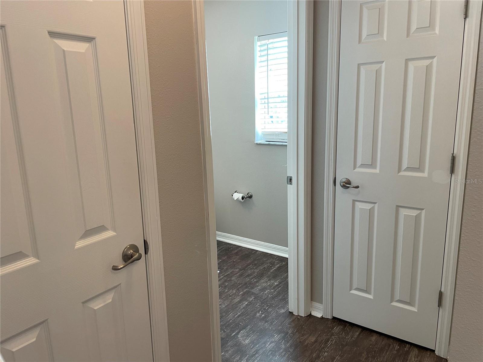 387 WINTER NELLIS CIR, WINTER GARDEN, FL, 34787