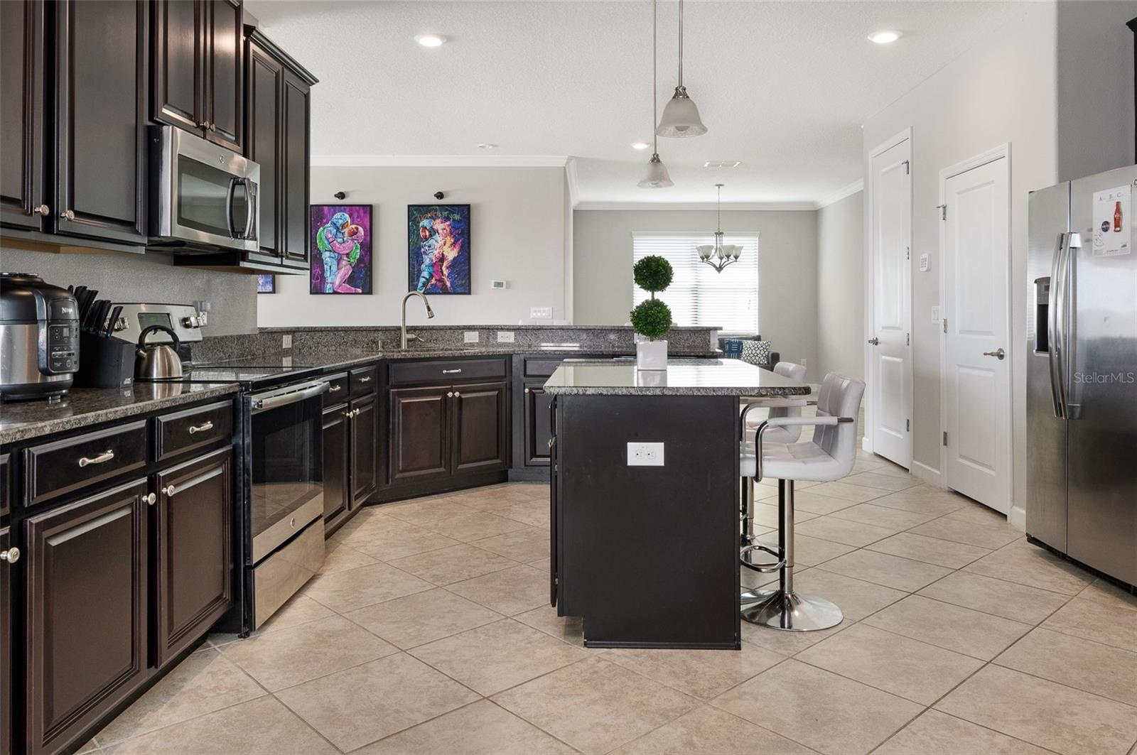 10008 CELTIC ASH DR, RUSKIN, FL, 33573