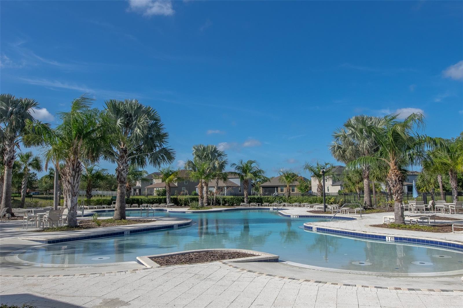 10008 CELTIC ASH DR, RUSKIN, FL, 33573