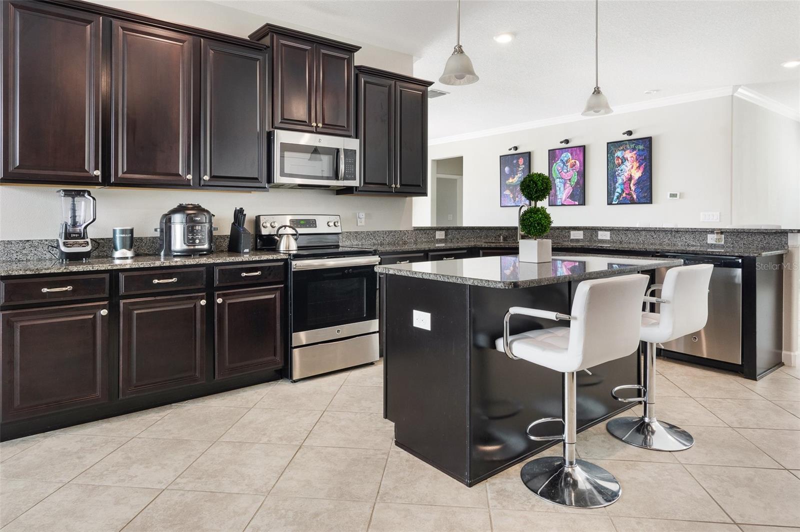 10008 CELTIC ASH DR, RUSKIN, FL, 33573