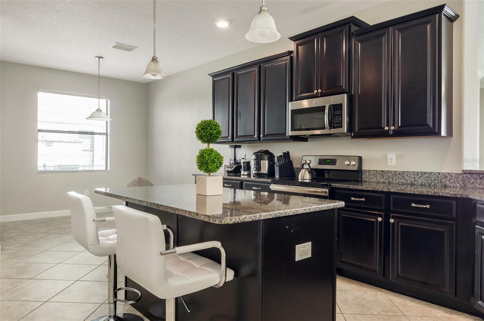 10008 CELTIC ASH DR, RUSKIN, FL, 33573