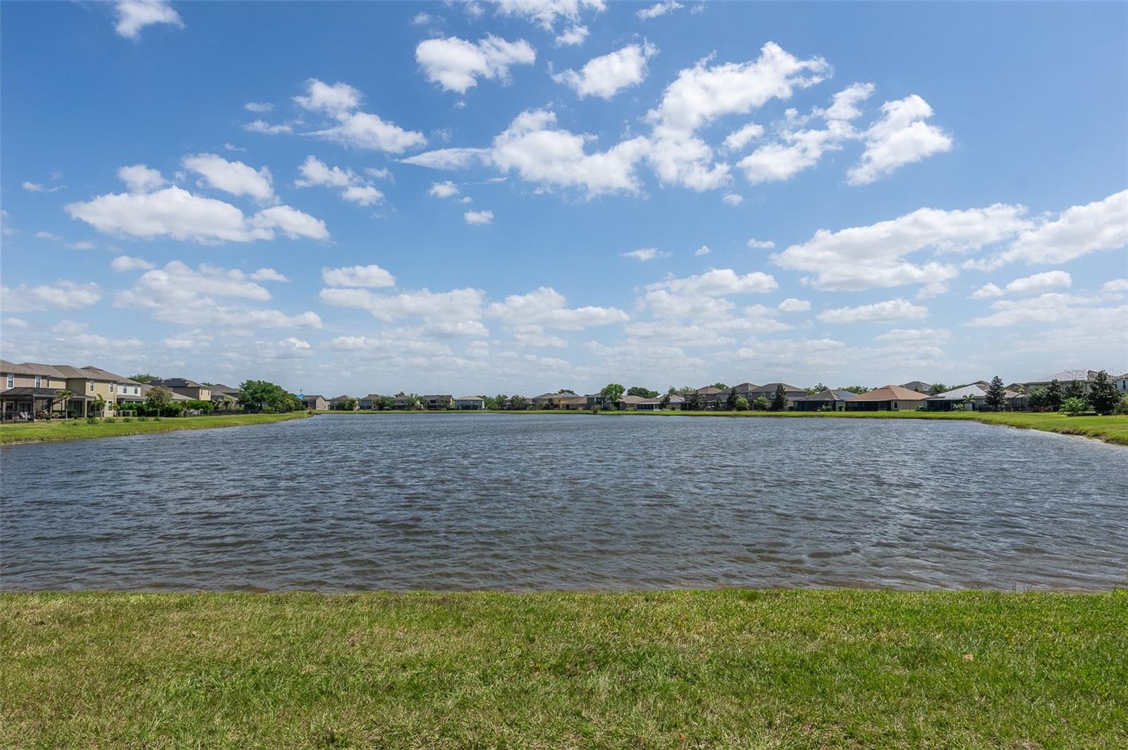 10008 CELTIC ASH DR, RUSKIN, FL, 33573