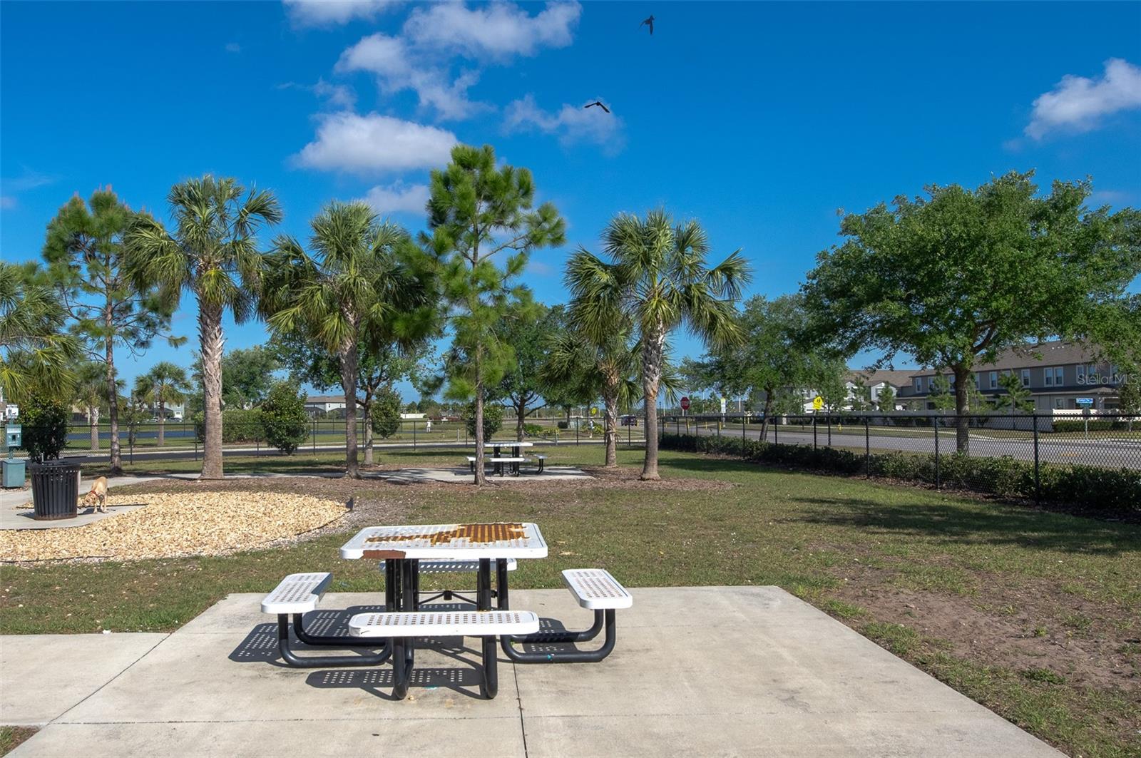 10008 CELTIC ASH DR, RUSKIN, FL, 33573