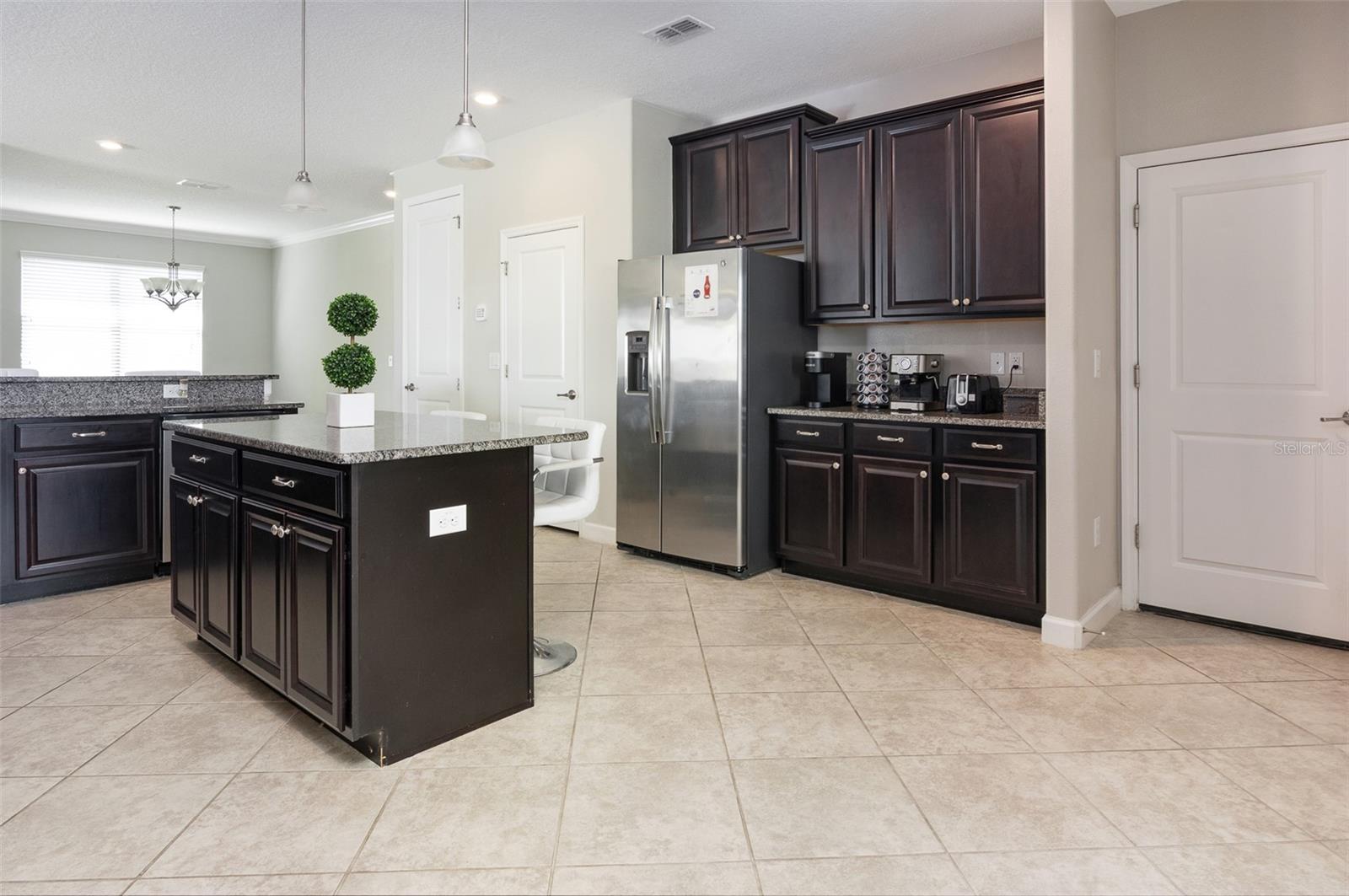 10008 CELTIC ASH DR, RUSKIN, FL, 33573