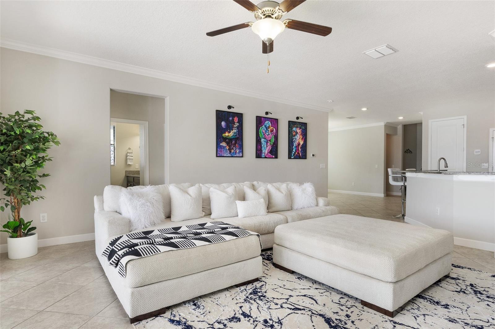 10008 CELTIC ASH DR, RUSKIN, FL, 33573