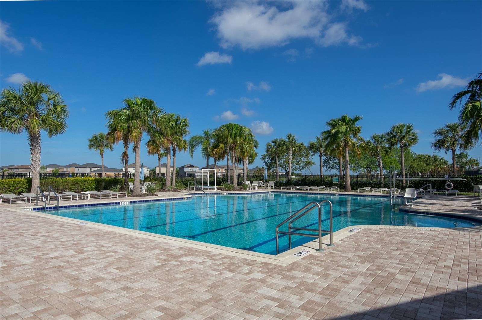 10008 CELTIC ASH DR, RUSKIN, FL, 33573