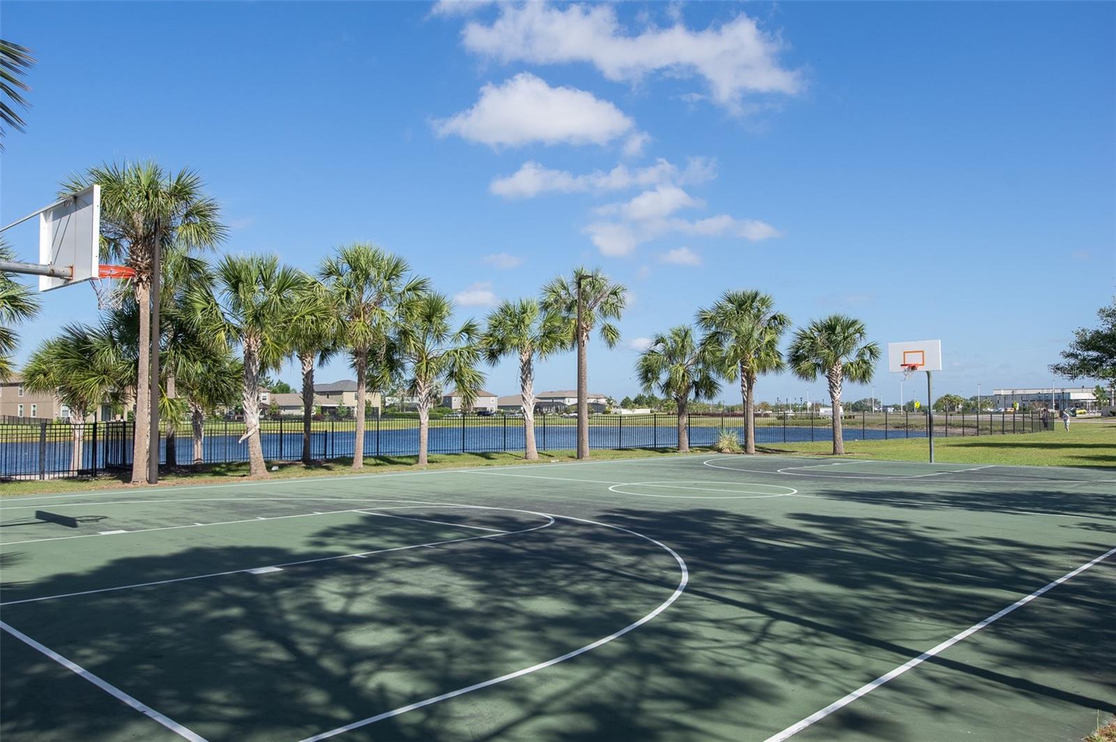 10008 CELTIC ASH DR, RUSKIN, FL, 33573