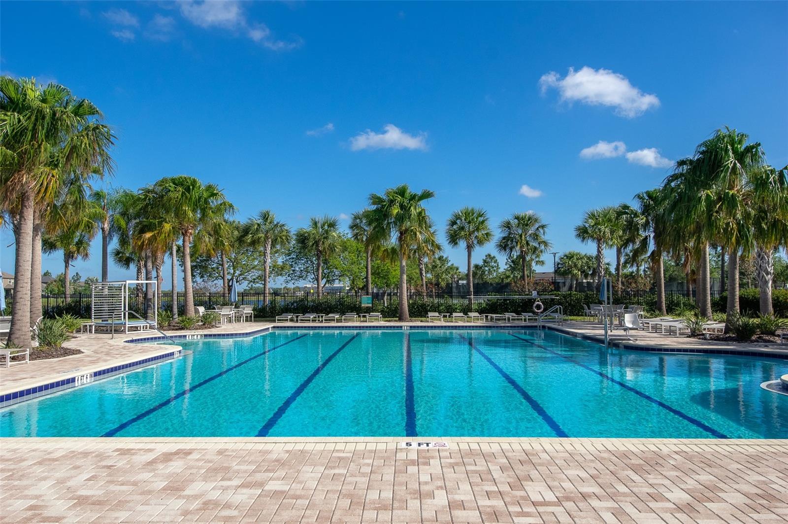 10008 CELTIC ASH DR, RUSKIN, FL, 33573