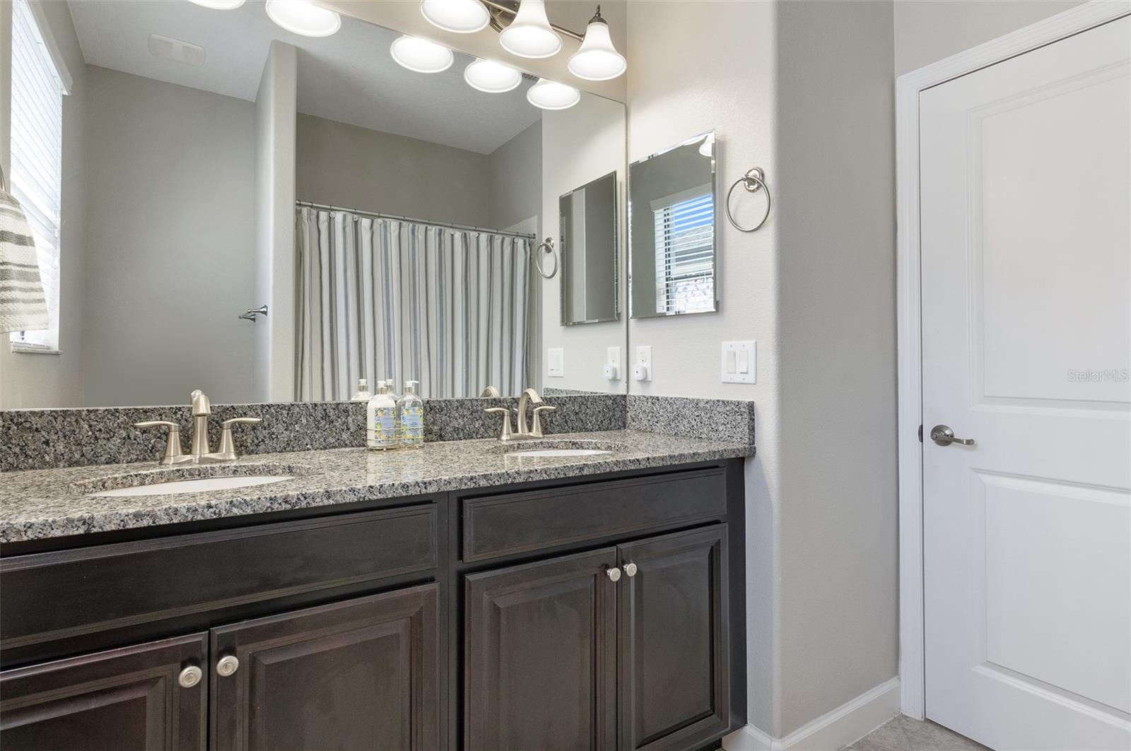 10008 CELTIC ASH DR, RUSKIN, FL, 33573