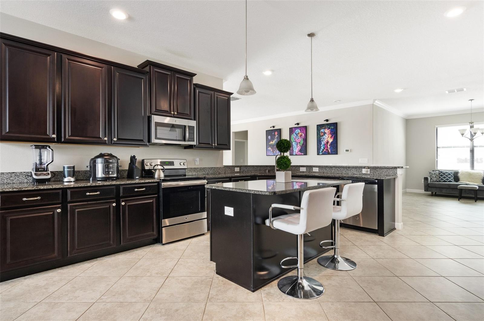 10008 CELTIC ASH DR, RUSKIN, FL, 33573