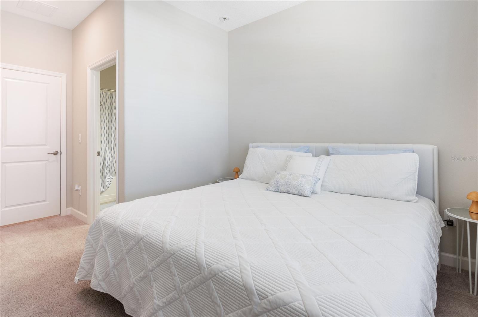 10008 CELTIC ASH DR, RUSKIN, FL, 33573