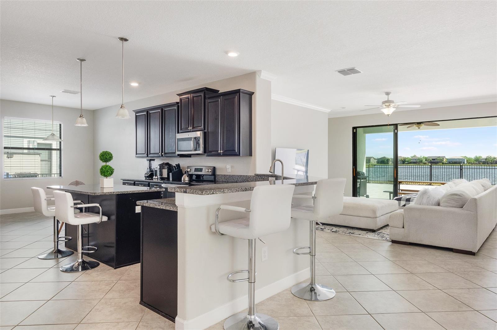 10008 CELTIC ASH DR, RUSKIN, FL, 33573