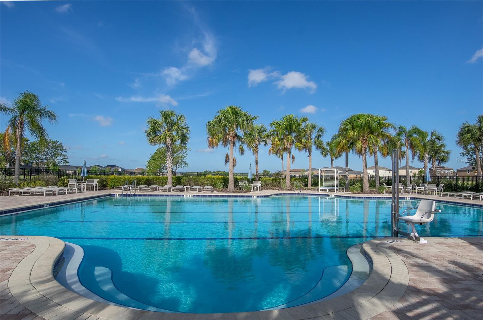 10008 CELTIC ASH DR, RUSKIN, FL, 33573