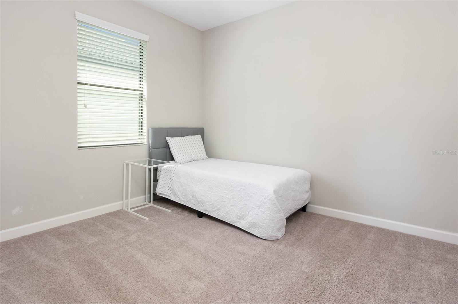 10008 CELTIC ASH DR, RUSKIN, FL, 33573