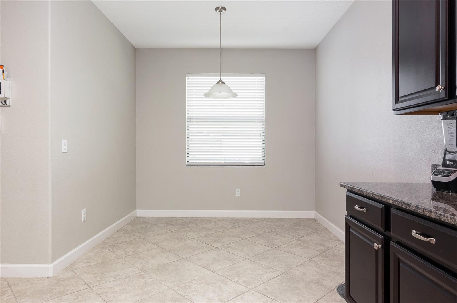 10008 CELTIC ASH DR, RUSKIN, FL, 33573