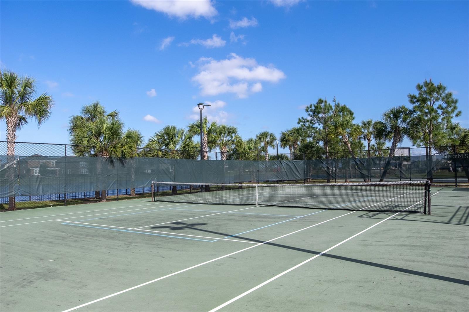 10008 CELTIC ASH DR, RUSKIN, FL, 33573