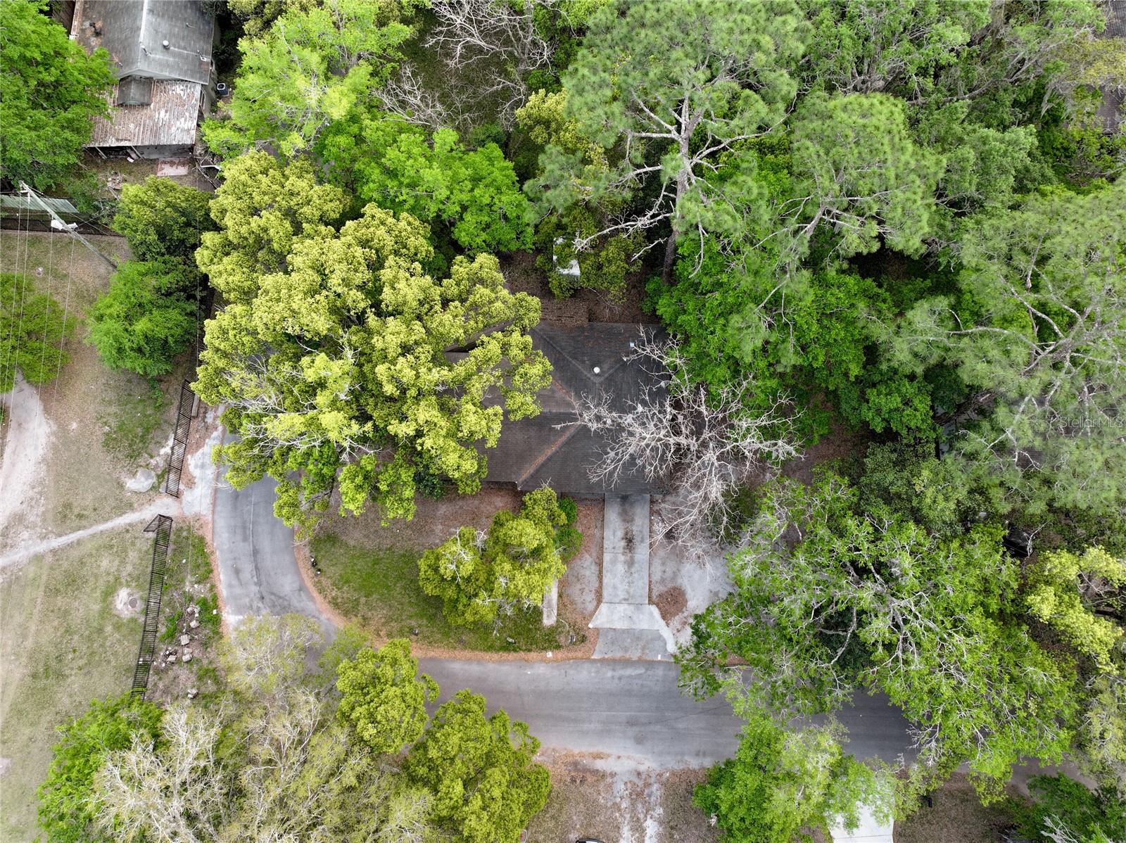 1715 NE 6TH PL, GAINESVILLE, FL, 32641