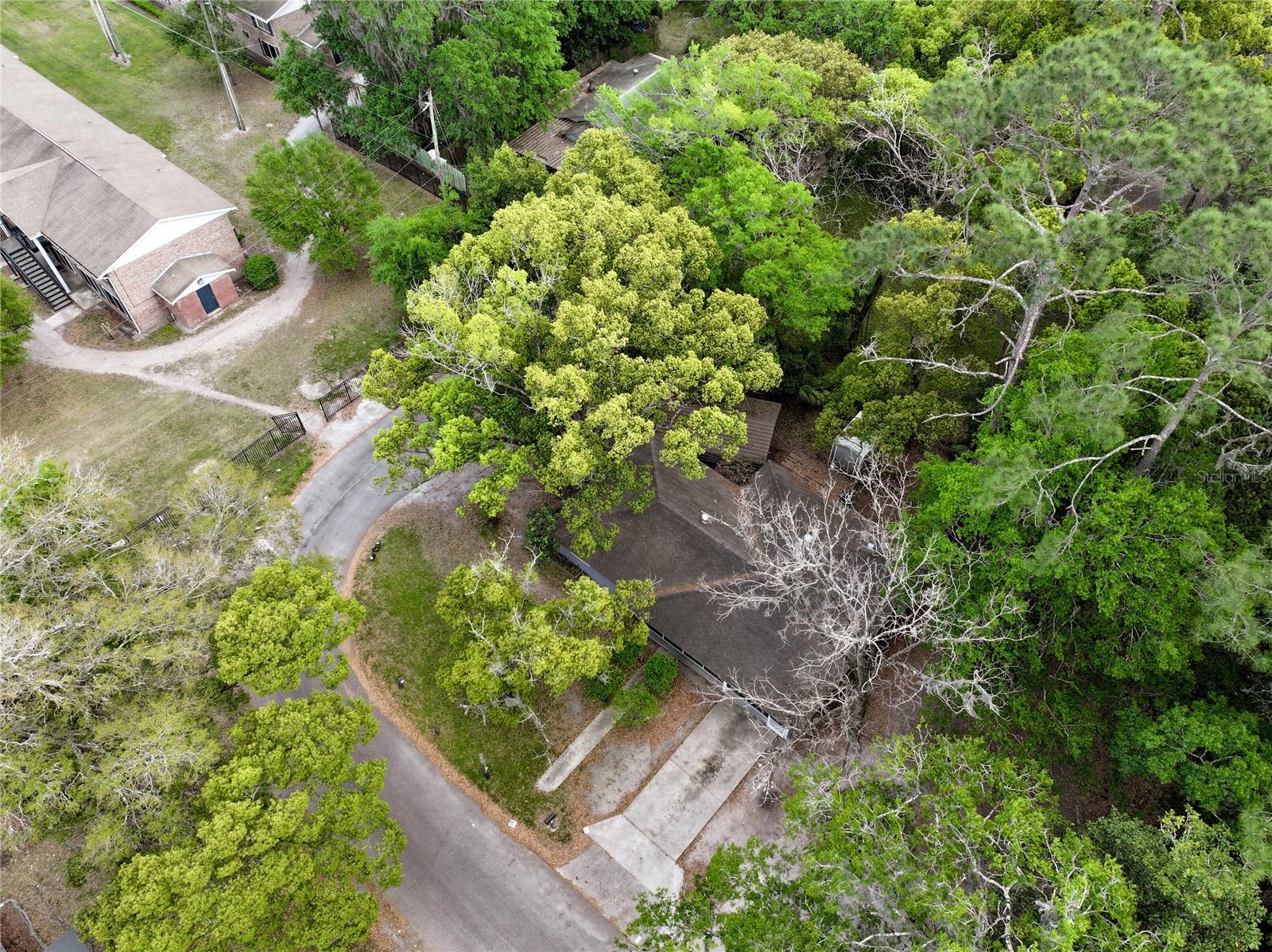 1715 NE 6TH PL, GAINESVILLE, FL, 32641