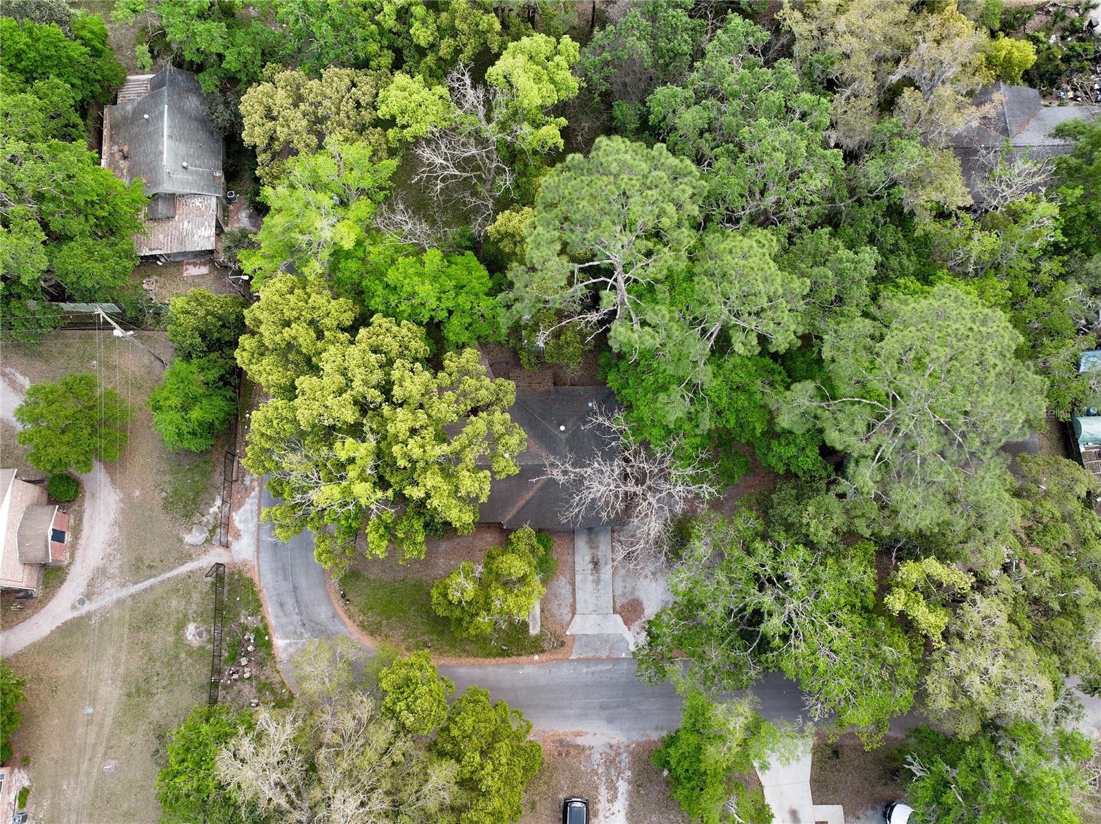 1715 NE 6TH PL, GAINESVILLE, FL, 32641