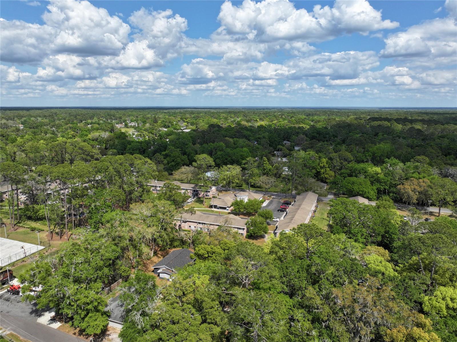 1715 NE 6TH PL, GAINESVILLE, FL, 32641