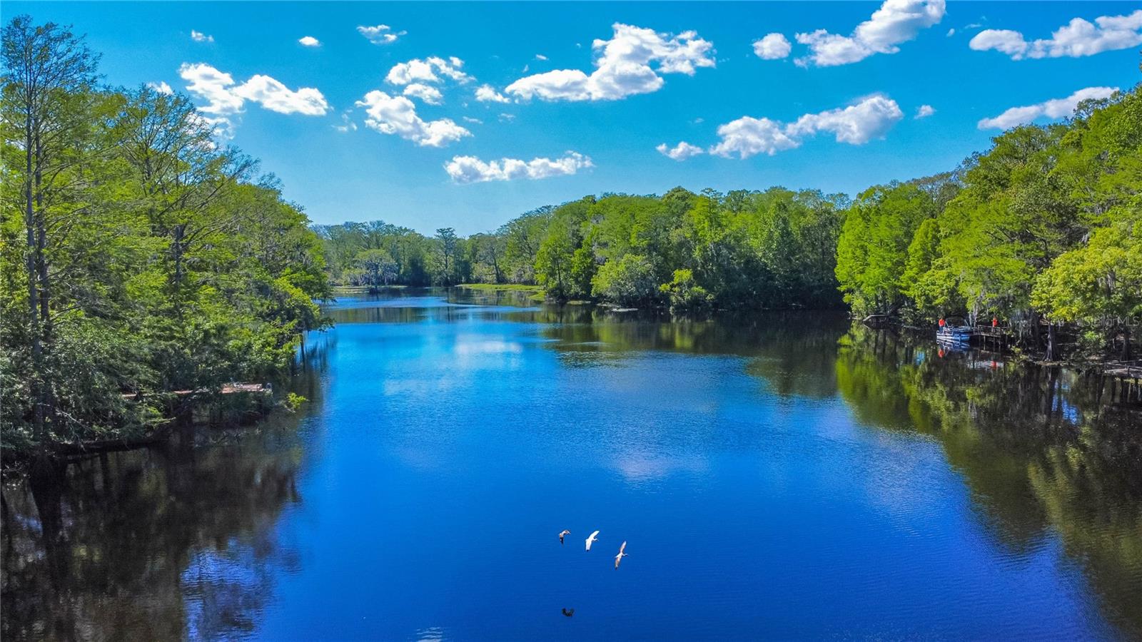 28330 PETERSON CAMP RD, BROOKSVILLE, FL, 34601