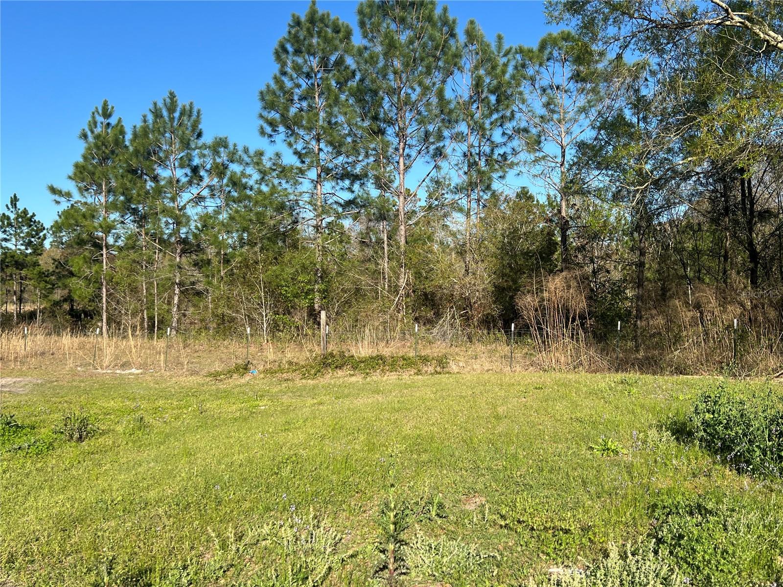 10405 ANDREW RAULERSON RD, GLEN ST MARY, FL, 32040