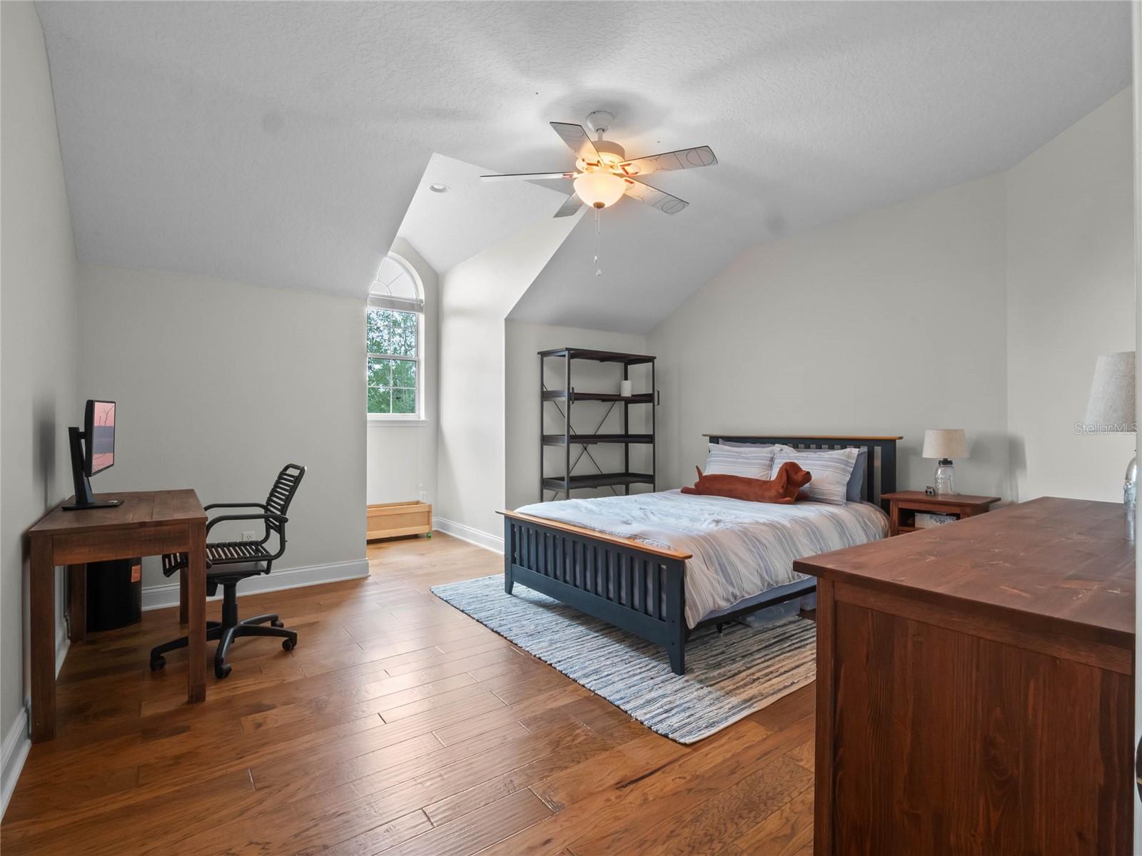 13628 LAKE CAWOOD DR, WINDERMERE, FL, 34786